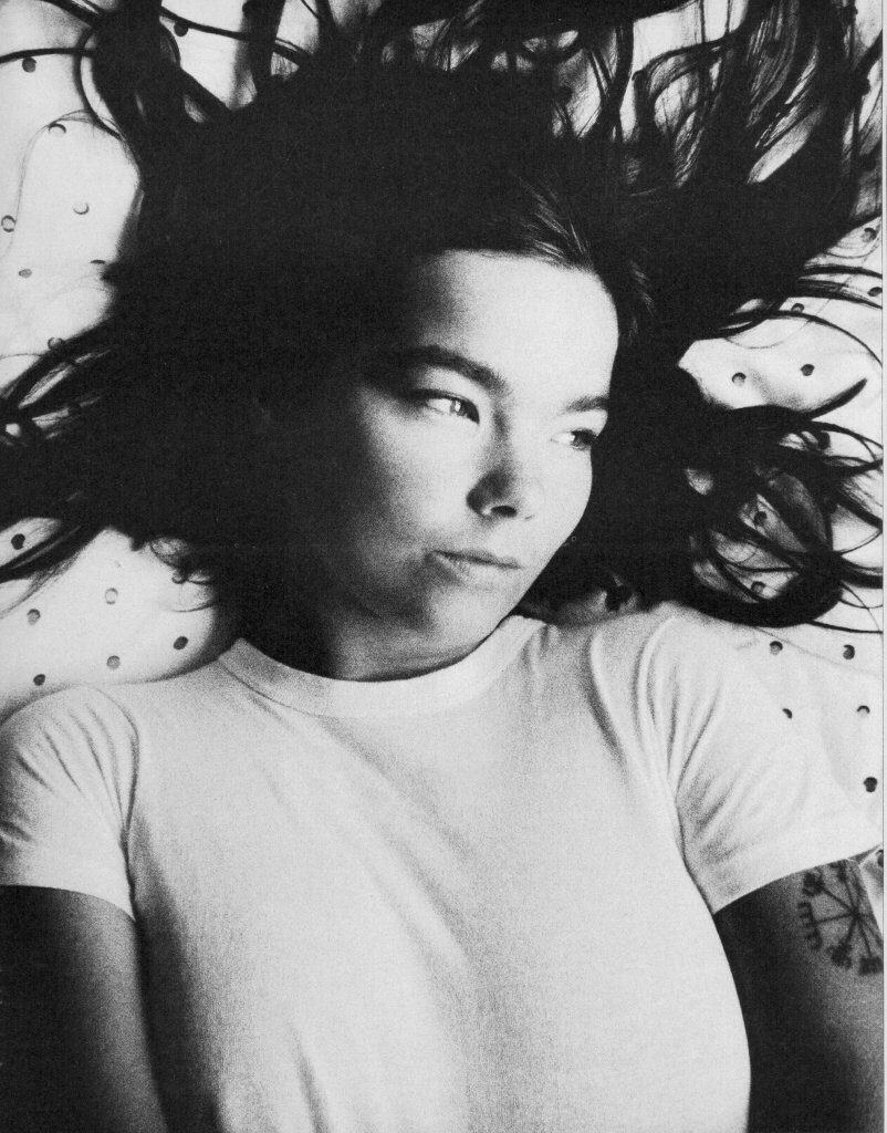 Björk *XI 21 1965 — The Life You Give